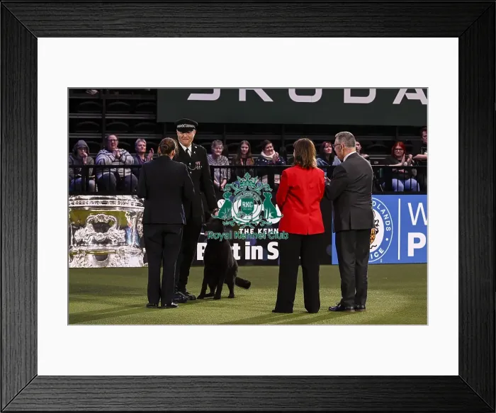 Framed Print : Winner of the Police Dog Team Operational & humanitarian Action of the Year Award Toby Spires with Tsar