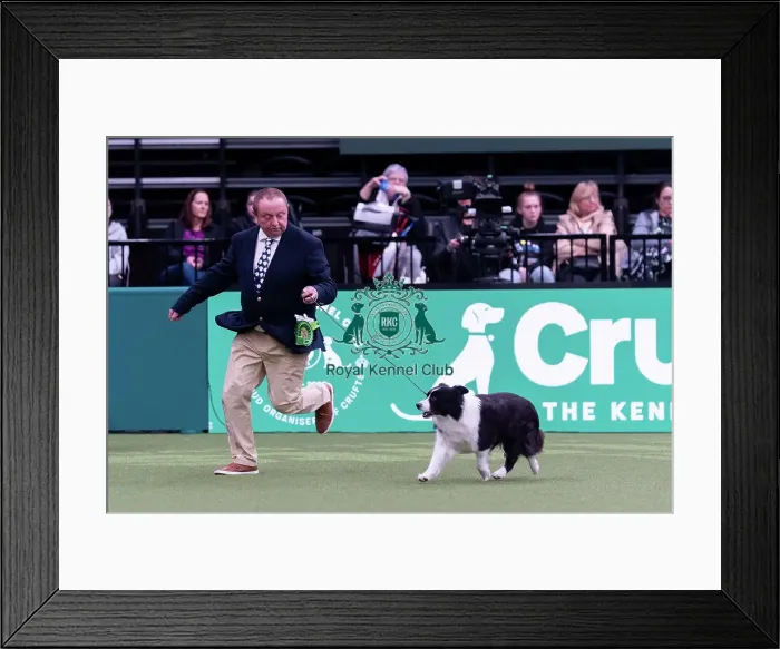 Framed Print : Ross Green from Swadlincote, Derbyshire with Tempt