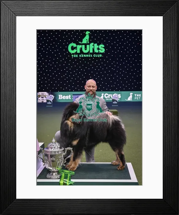 Framed Print : Gabriele Stafuzza from Italy with Viking Framed Print : Gabriele Stafuzza from Italy with Viking