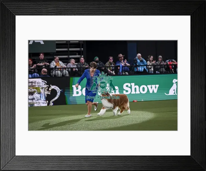 Framed Print : Melanie Raymond from Solihull with Shake Framed Print : Melanie Raymond from Solihull with Shake