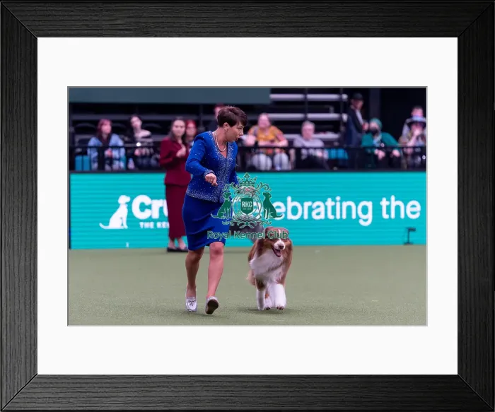 Framed Print : Melanie Raymond from Solihull with Shake Framed Print : Melanie Raymond from Solihull with Shake