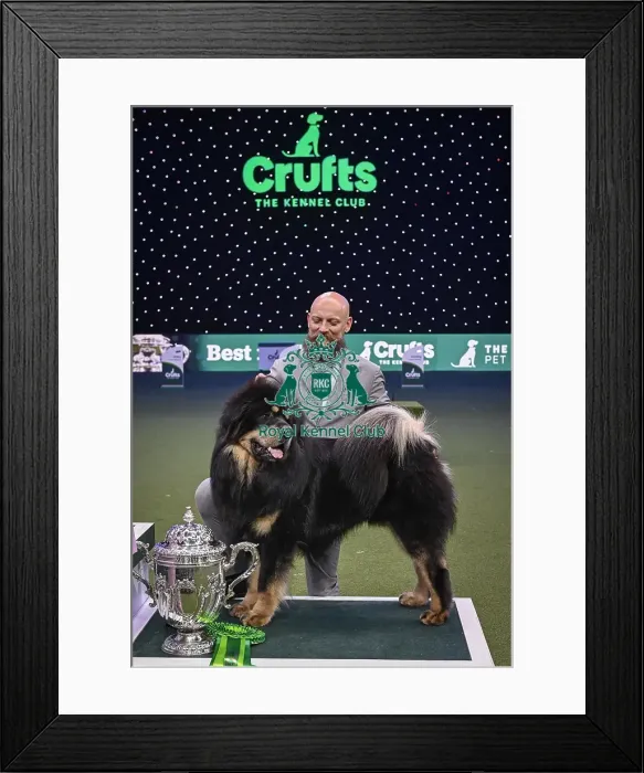 Framed Print : Gabriele Stafuzza from Italy with Viking Framed Print : Gabriele Stafuzza from Italy with Viking
