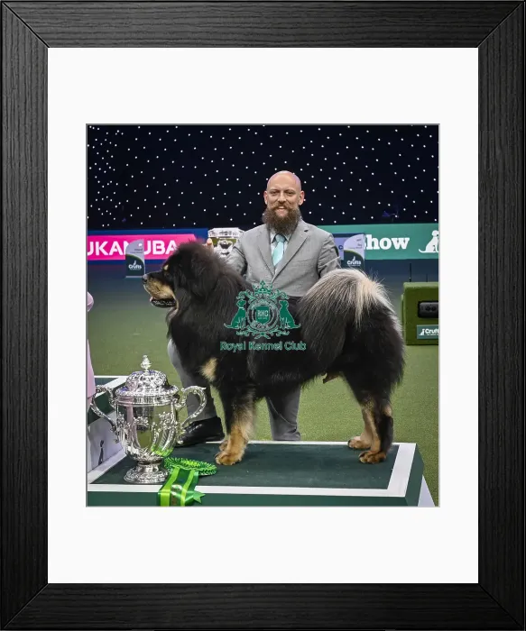 Framed Print : Gabriele Stafuzza from Italy with Viking Framed Print : Gabriele Stafuzza from Italy with Viking