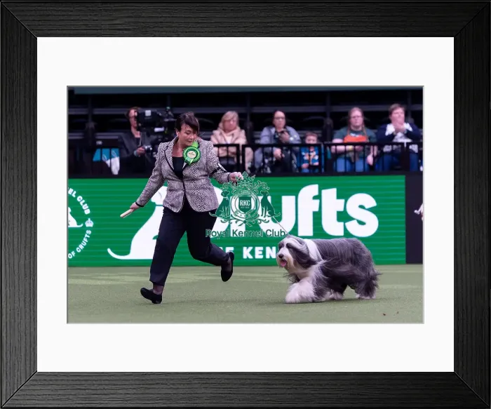 Framed Print : Nicola Whelan from Wickham with Perri Framed Print : Nicola Whelan from Wickham with Perri