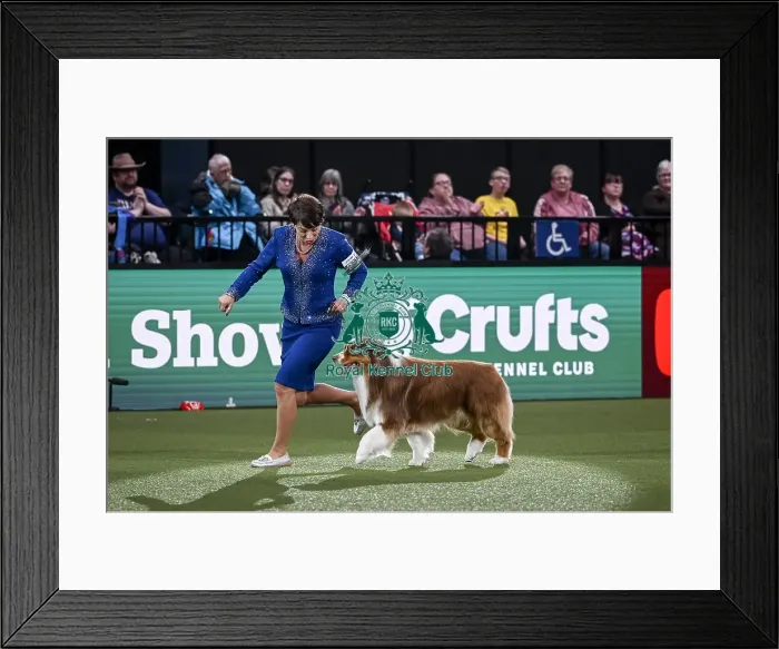 Framed Print : Melanie Raymond from Solihull with Shake Framed Print : Melanie Raymond from Solihull with Shake