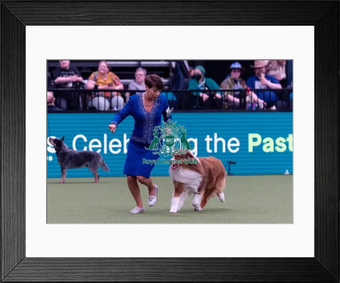 Framed Print : Melanie Raymond from Solihull with Shake Framed Print : Melanie Raymond from Solihull with Shake