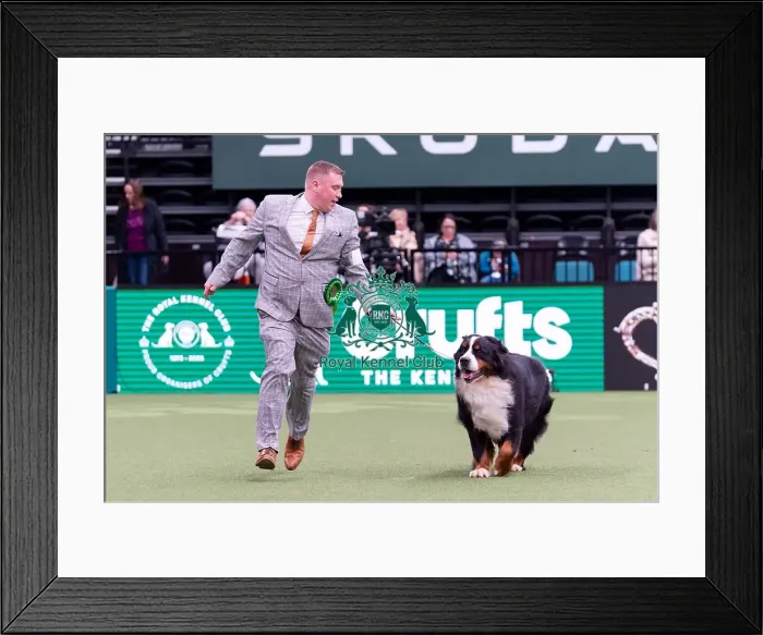 Framed Print : Gary Dyball from Rochedale with Eli Framed Print : Gary Dyball from Rochedale with Eli