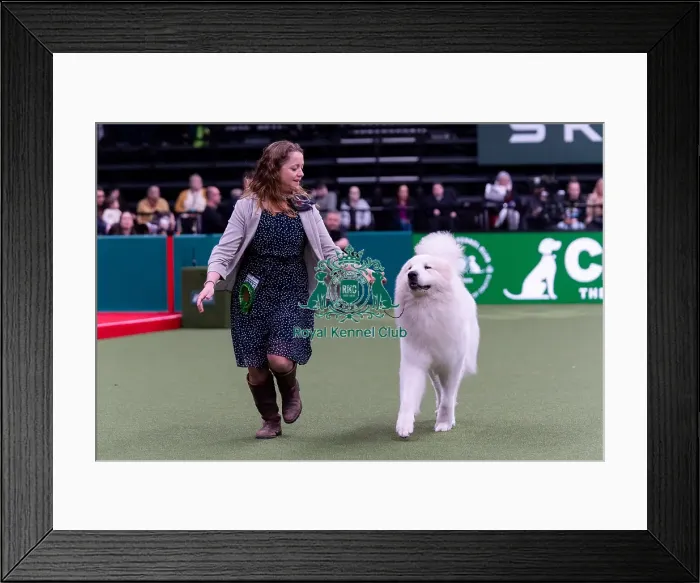 Framed Print : Pernilla Winberg from Lund, Sweden with Loke Framed Print : Pernilla Winberg from Lund, Sweden with Loke