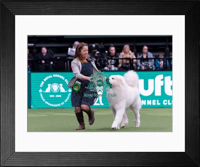 Framed Print : Pernilla Winberg from Lund, Sweden with Loke