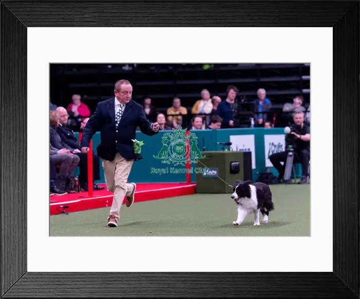 Framed Print : Ross Green from Swadlincote, Derbyshire with Tempt