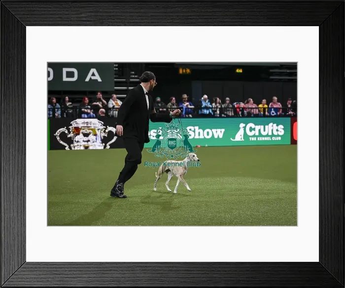 Framed Print : Giovanni Liguori, from Italy, with Miuccia Framed Print : Giovanni Liguori, from Italy, with Miuccia