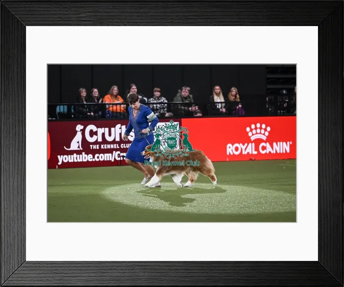 Framed Print : Melanie Raymond from Solihull with Shake Framed Print : Melanie Raymond from Solihull with Shake