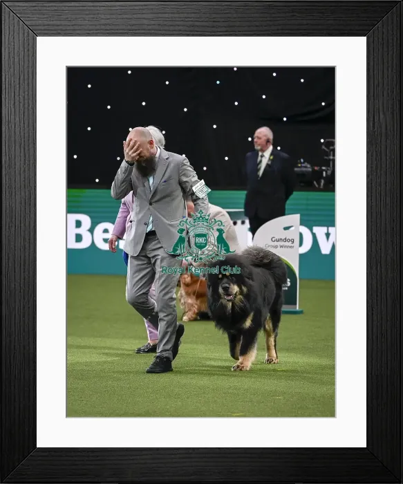 Framed Print : Gabriele Stafuzza from Italy with Viking