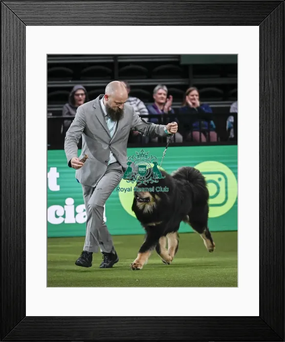 Framed Print : Gabriele Stafuzza from Italy with Viking