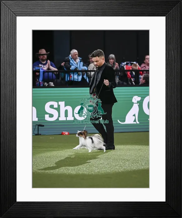 Framed Print : Glenn Robb from Oswestry, Shropshire with Sophia Framed Print : Glenn Robb from Oswestry, Shropshire with Sophia