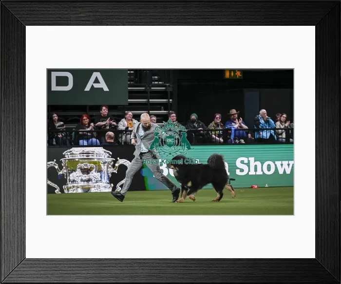 Framed Print : Gabriele Stafuzza from Italy with Viking