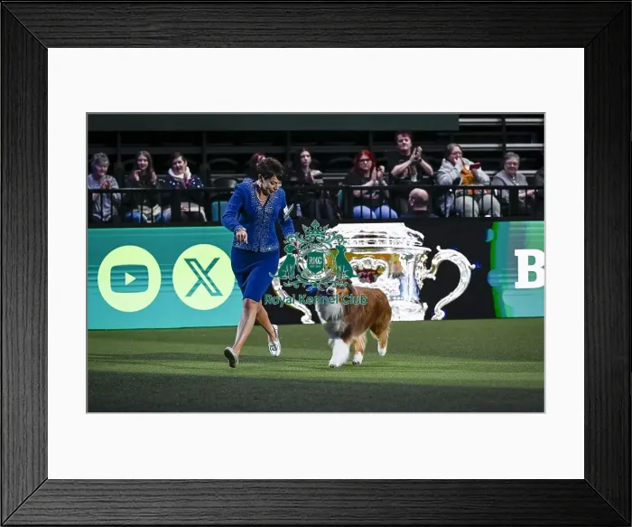 Framed Print : Melanie Raymond from Solihull with Shake Framed Print : Melanie Raymond from Solihull with Shake