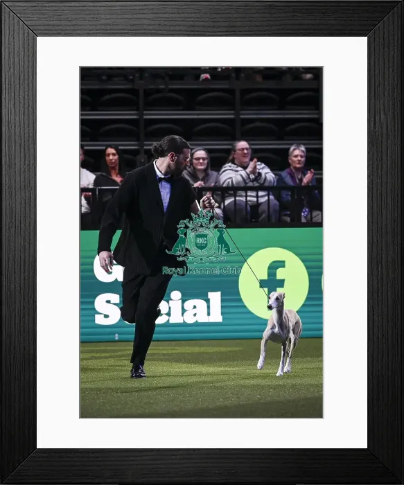 Framed Print : Giovanni Liguori, from Italy, with Miuccia Framed Print : Giovanni Liguori, from Italy, with Miuccia