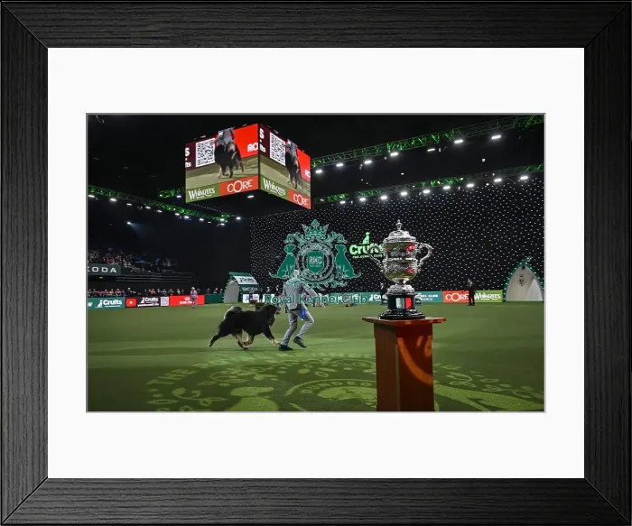 Framed Print : Gabriele Stafuzza from Italy with Viking
