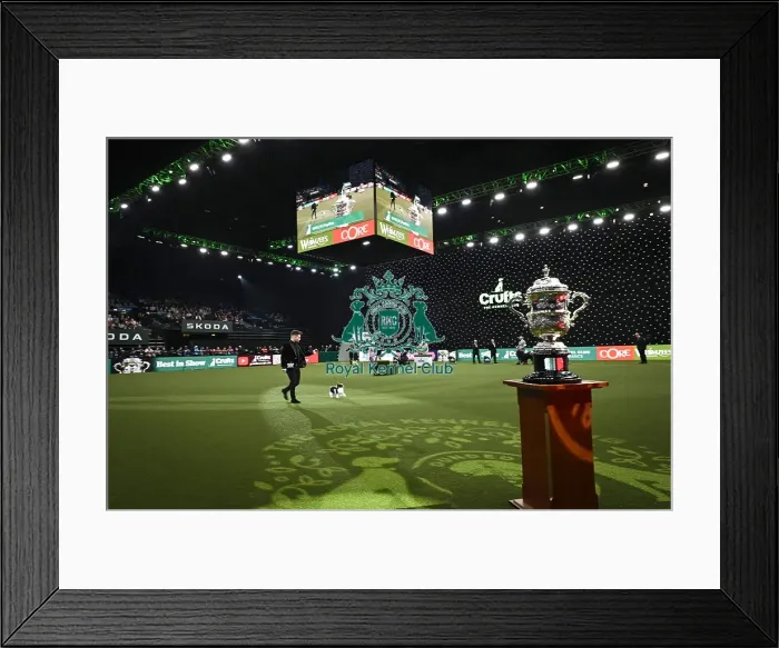 Framed Print : Giovanni Liguori, from Italy, with Miuccia Framed Print : Giovanni Liguori, from Italy, with Miuccia