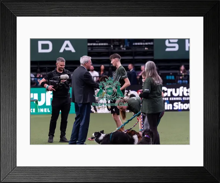 Framed Print : Flyball Competition winner, Dylan Osborne Framed Print : Flyball Competition winner, Dylan Osborne