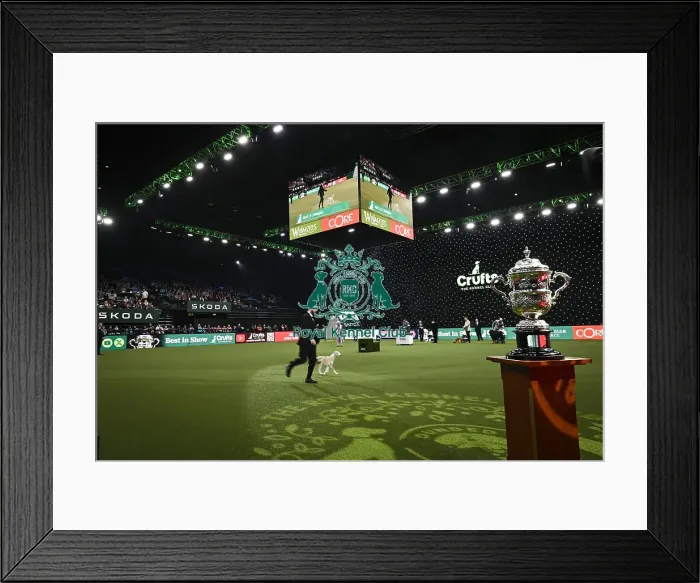Framed Print : Giovanni Liguori, from Italy, with Miuccia Framed Print : Giovanni Liguori, from Italy, with Miuccia