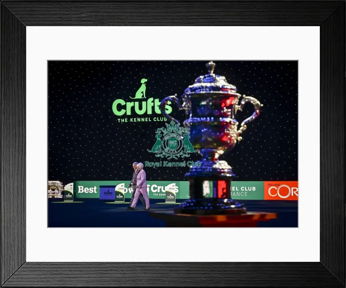 Framed Print : Tony Allcock OBE, Chairman of The Kennel Club UK Framed Print : Tony Allcock OBE, Chairman of The Kennel Club UK