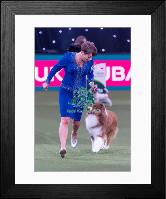 Framed Print : Melanie Raymond from Solihull with Shake Framed Print : Melanie Raymond from Solihull with Shake