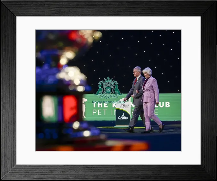 Framed Print : Tony Allcock OBE, Chairman of The Kennel Club UK Framed Print : Tony Allcock OBE, Chairman of The Kennel Club UK