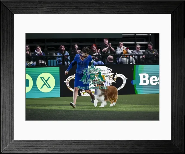 Framed Print : Melanie Raymond from Solihull with Shake Framed Print : Melanie Raymond from Solihull with Shake