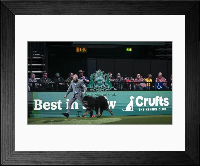 Framed Print : Gabriele Stafuzza from Italy with Viking