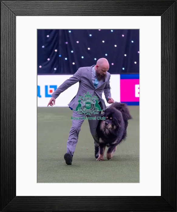 Framed Print : Gabriele Stafuzza from Italy with Viking