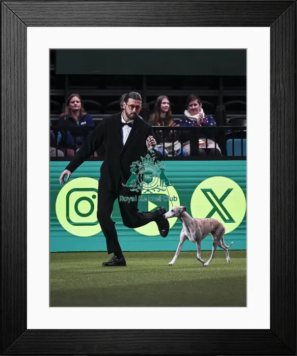 Framed Print : Giovanni Liguori, from Italy, with Miuccia Framed Print : Giovanni Liguori, from Italy, with Miuccia