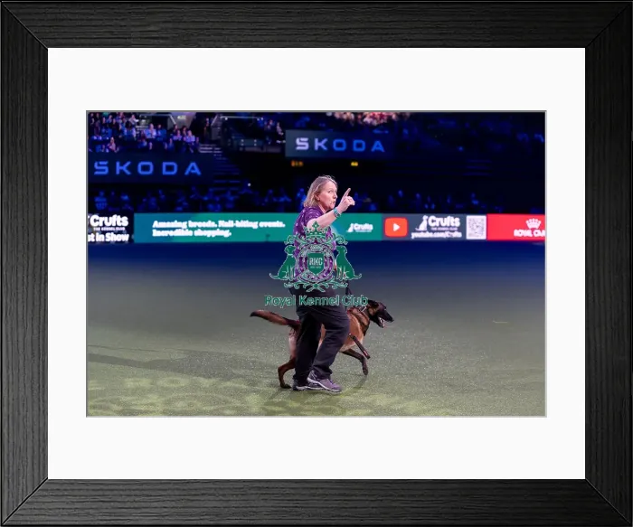 Framed Print : Winner of the Kennel Club Hero Dog Award Mandy Chapman with Baloo