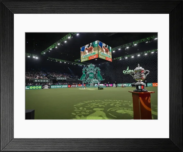 Framed Print : Melanie Raymond from Solihull with Shake Framed Print : Melanie Raymond from Solihull with Shake