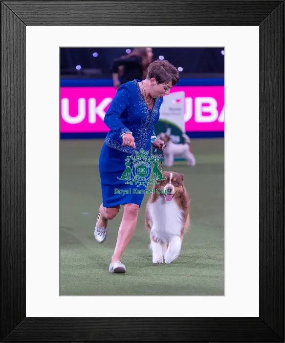 Framed Print : Melanie Raymond from Solihull with Shake Framed Print : Melanie Raymond from Solihull with Shake
