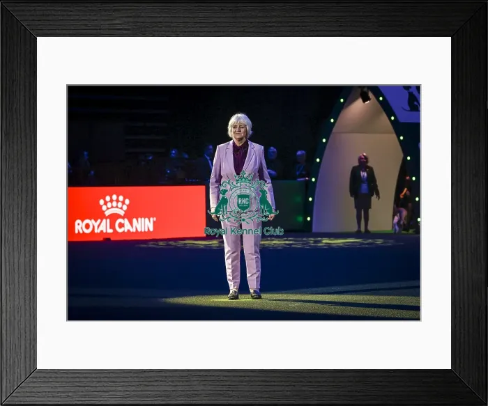 Framed Print : Patsy Hollings, judging the coveted title of Best in Show today Framed Print : Patsy Hollings, judging the coveted title of Best in Show today