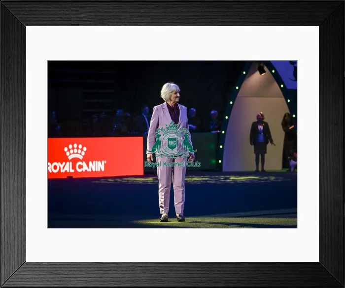 Framed Print : Patsy Hollings, judging the coveted title of Best in Show today Framed Print : Patsy Hollings, judging the coveted title of Best in Show today
