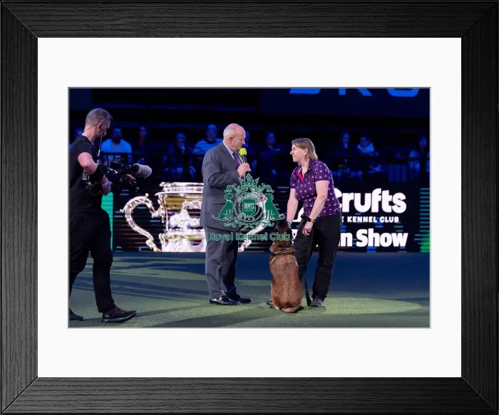 Framed Print : Winner of the Kennel Club Hero Dog Award Mandy Chapman with Baloo