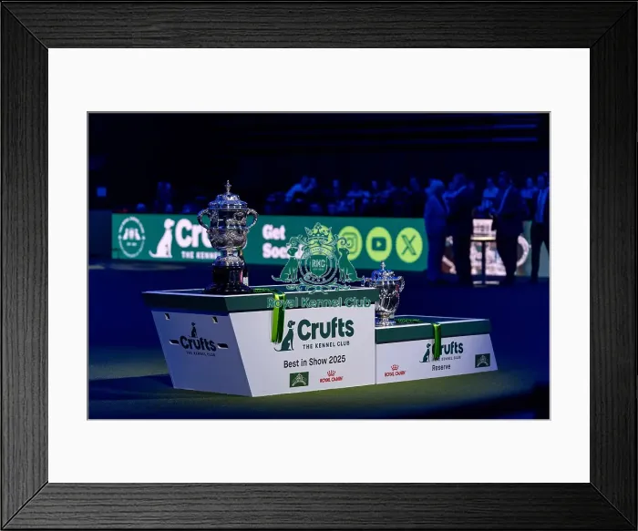 Framed Print : The Crufts Best in Show Keddell Memorial trophy with the Reserve trophy Framed Print : The Crufts Best in Show Keddell Memorial trophy with the Reserve trophy