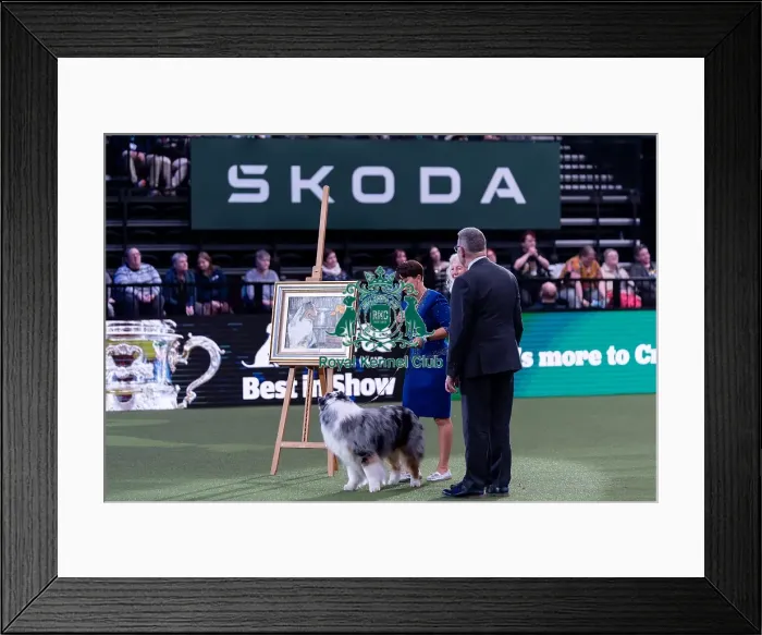 Framed Print : Presentation of the BIS 2024 painting from the last years Crufts winner