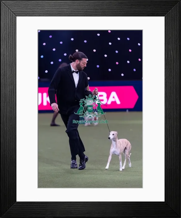 Framed Print : Giovanni Liguori, from Italy, with Miuccia Framed Print : Giovanni Liguori, from Italy, with Miuccia