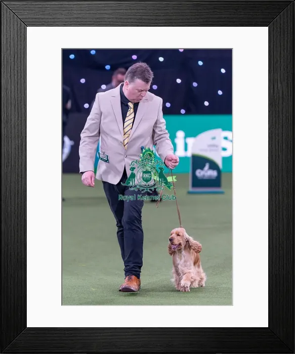 Framed Print : David Todd from Mid Calder, West Calder with Suzie Framed Print : David Todd from Mid Calder, West Calder with Suzie