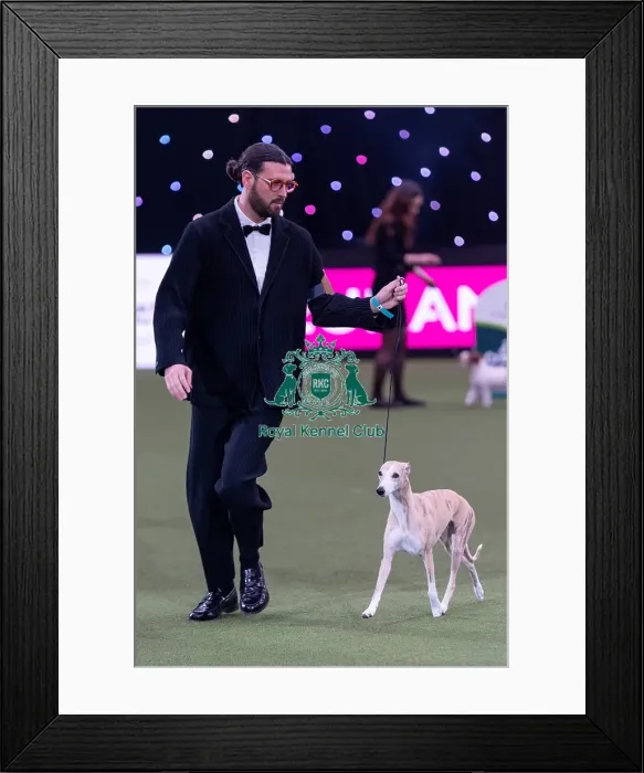 Framed Print : Giovanni Liguori, from Italy, with Miuccia Framed Print : Giovanni Liguori, from Italy, with Miuccia