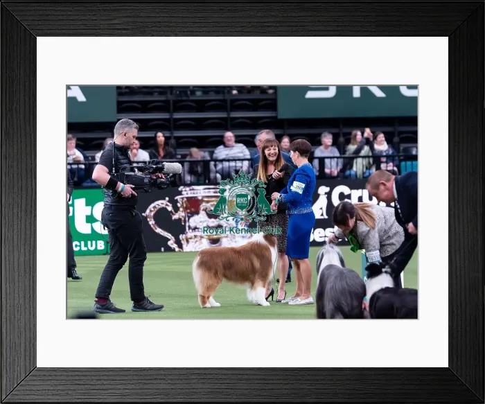 Framed Print : Presentation of the BIS 2024 painting from the last years Crufts winner