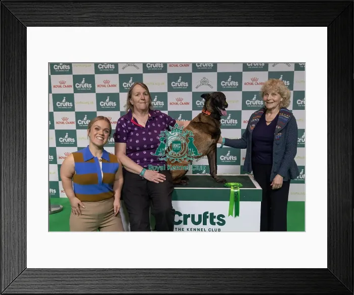 Framed Print : Winner of the Kennel Club Hero Dog Award Mandy Chapman with Baloo pictured with Ellie Immonds & Jo Hamilton (Sunday 09) Framed Print : Winner of the Kennel Club Hero Dog Award Mandy Chapman with Baloo pictured with Ellie Immonds & Jo Hamilton (Sunday 09)