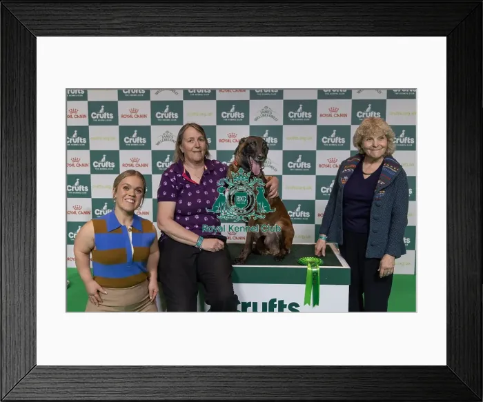 Framed Print : Winner of the Kennel Club Hero Dog Award Mandy Chapman with Baloo pictured with Ellie Immonds & Jo Hamilton (Sunday 09) Framed Print : Winner of the Kennel Club Hero Dog Award Mandy Chapman with Baloo pictured with Ellie Immonds & Jo Hamilton (Sunday 09)
