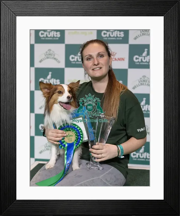 Framed Print : Runner Up Louise Godwin with The fate of the Furious at Vamonalou a Border Collie Framed Print : Runner Up Louise Godwin with The fate of the Furious at Vamonalou a Border Collie