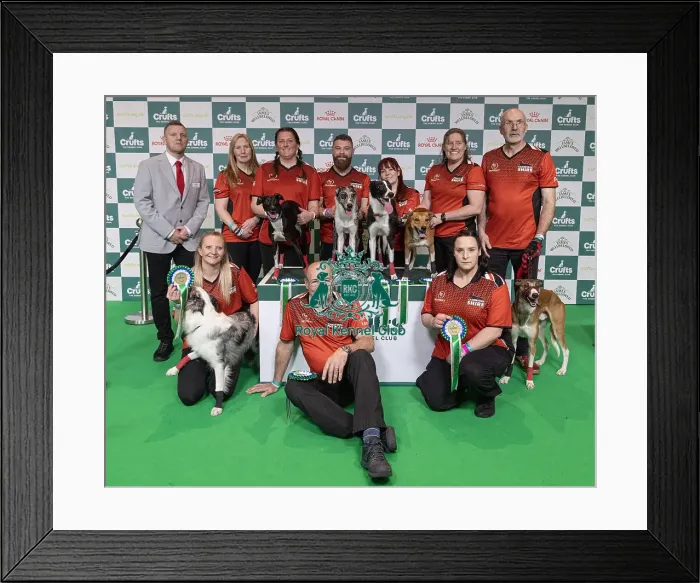 Framed Print : Runners Up of the Flyball Tournament 2025 Cambridgeshire today (Sunday 09) Framed Print : Runners Up of the Flyball Tournament 2025 Cambridgeshire today (Sunday 09)