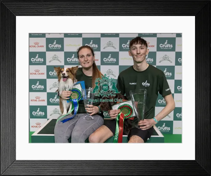 Framed Print : Dylan Osborne with Well Jelly Baby a Working Cocker who today won the Agility Championship Small with Runner Up Louise Framed Print : Dylan Osborne with Well Jelly Baby a Working Cocker who today won the Agility Championship Small with Runner Up Louise